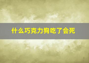 什么巧克力狗吃了会死