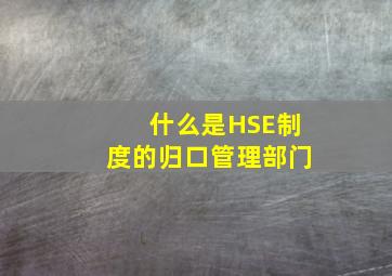 什么是HSE制度的归口管理部门