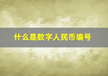 什么是数字人民币编号