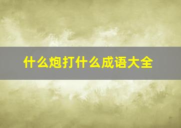 什么炮打什么成语大全