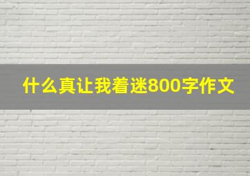 什么真让我着迷800字作文