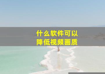 什么软件可以降低视频画质