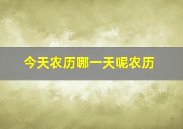 今天农历哪一天呢农历