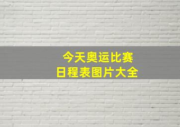 今天奥运比赛日程表图片大全