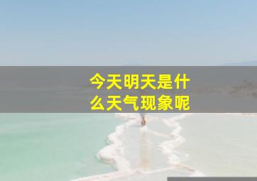 今天明天是什么天气现象呢