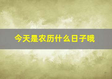 今天是农历什么日子哦