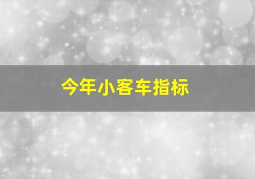 今年小客车指标