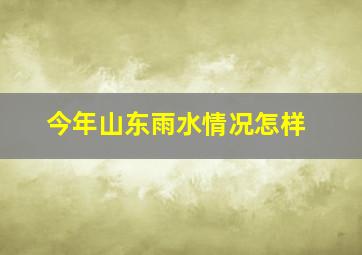 今年山东雨水情况怎样