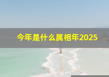 今年是什么属相年2025