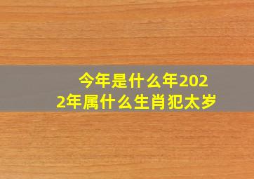 今年是什么年2022年属什么生肖犯太岁