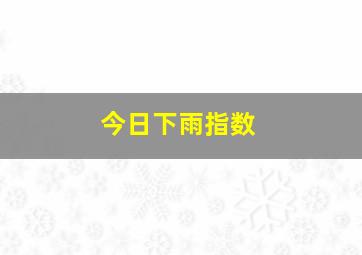 今日下雨指数