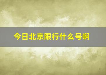 今日北京限行什么号啊