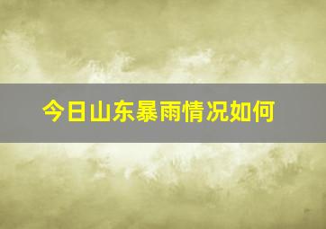 今日山东暴雨情况如何