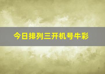 今日排列三开机号牛彩