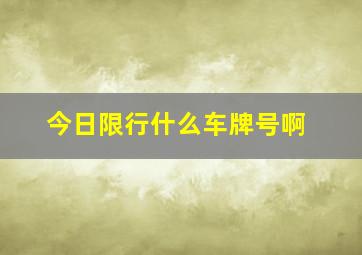 今日限行什么车牌号啊