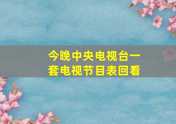 今晚中央电视台一套电视节目表回看