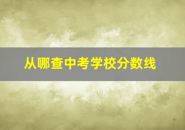 从哪查中考学校分数线