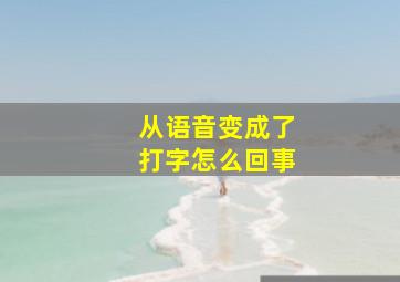 从语音变成了打字怎么回事