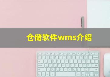 仓储软件wms介绍