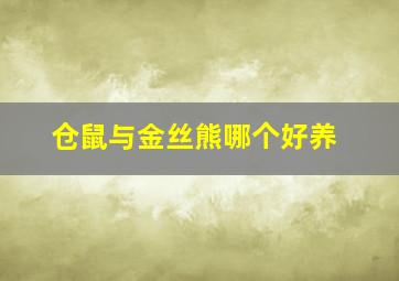 仓鼠与金丝熊哪个好养