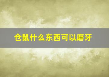 仓鼠什么东西可以磨牙