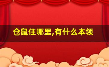 仓鼠住哪里,有什么本领