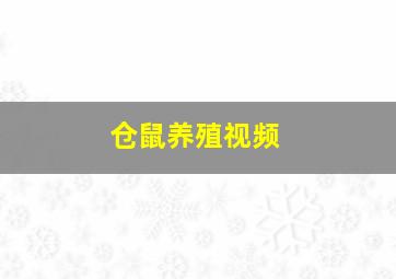 仓鼠养殖视频