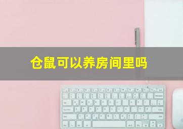 仓鼠可以养房间里吗