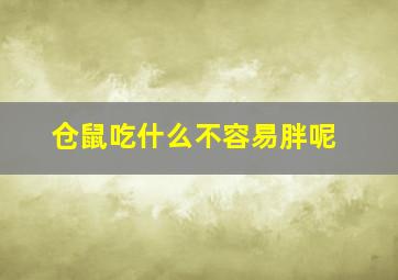 仓鼠吃什么不容易胖呢