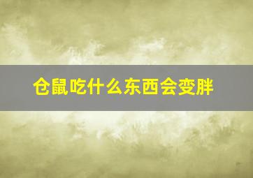 仓鼠吃什么东西会变胖