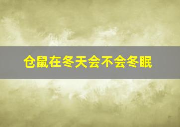 仓鼠在冬天会不会冬眠