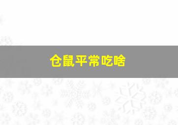 仓鼠平常吃啥