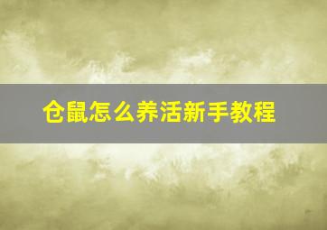 仓鼠怎么养活新手教程