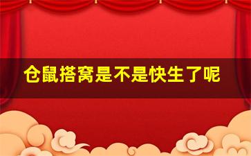 仓鼠搭窝是不是快生了呢