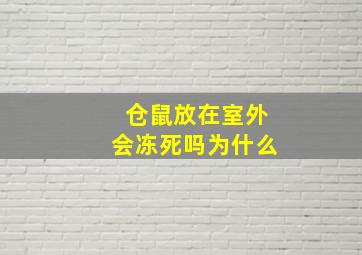 仓鼠放在室外会冻死吗为什么