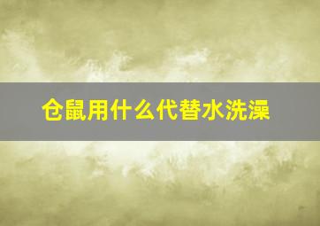 仓鼠用什么代替水洗澡