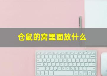 仓鼠的窝里面放什么