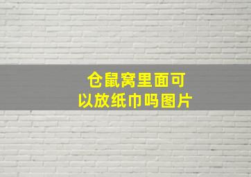 仓鼠窝里面可以放纸巾吗图片