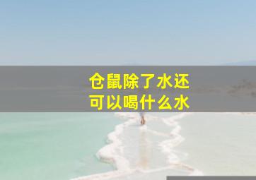 仓鼠除了水还可以喝什么水