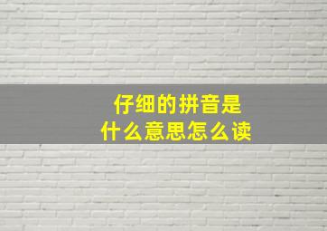 仔细的拼音是什么意思怎么读