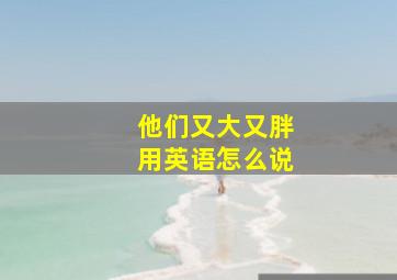 他们又大又胖用英语怎么说