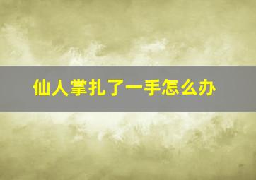 仙人掌扎了一手怎么办