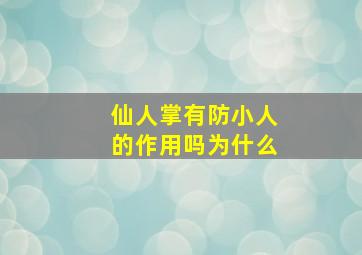 仙人掌有防小人的作用吗为什么