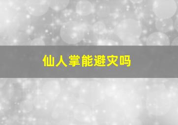 仙人掌能避灾吗