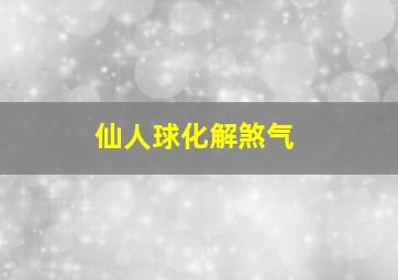 仙人球化解煞气