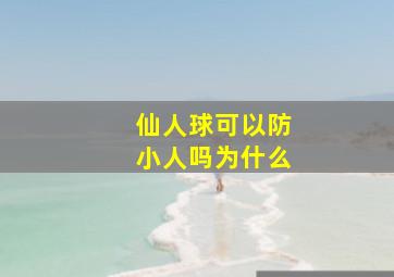 仙人球可以防小人吗为什么