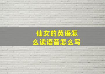 仙女的英语怎么读语音怎么写