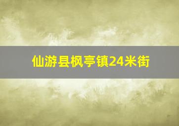 仙游县枫亭镇24米街