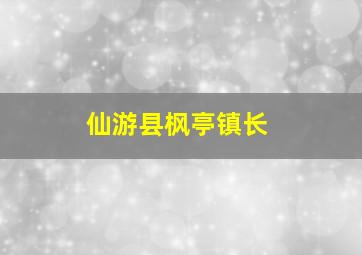 仙游县枫亭镇长