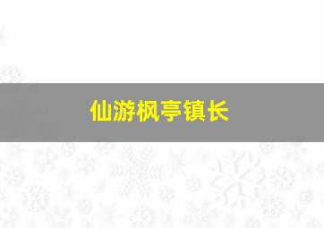 仙游枫亭镇长